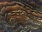 Polished Tiger Iron Stromatolite - ( Billion Years) #64015-1